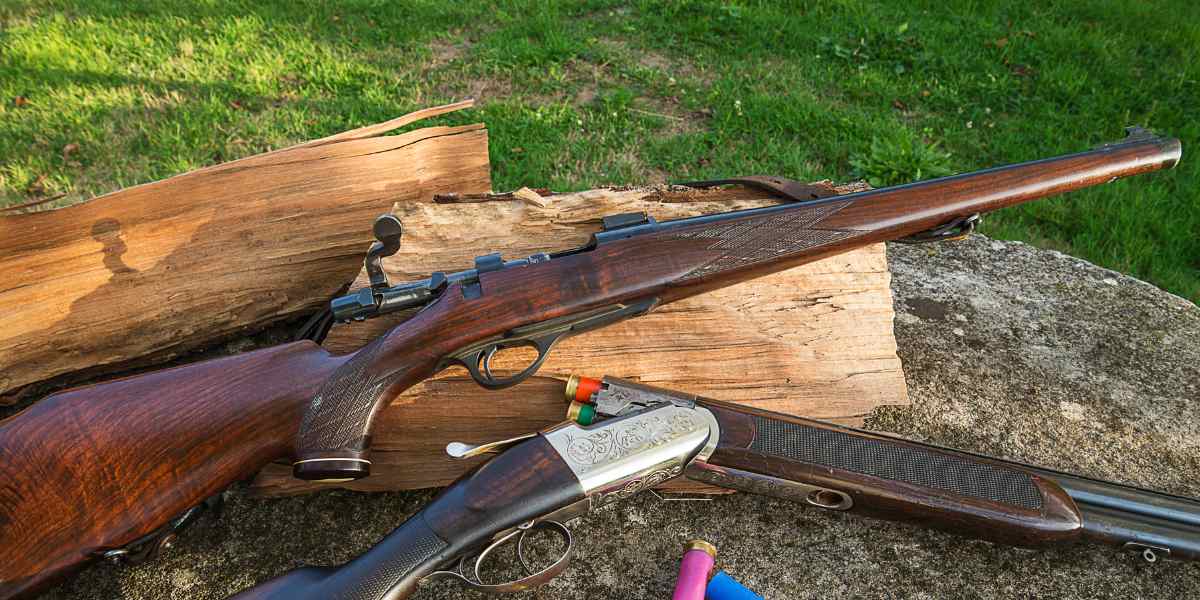 O que é Carabina? Tudo o que você precisa saber