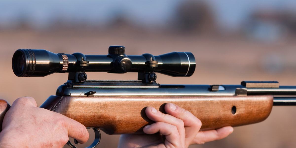 Onde Posso Usar Minha Carabina de Pressão no Brasil?: Descubra Aqui! 10 Onde Posso Usar Minha Carabina de Pressão no Brasil?: Descubra Aqui!