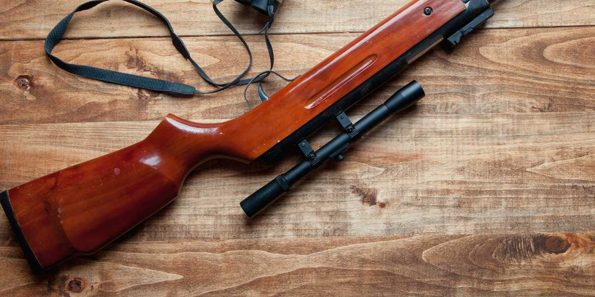 Qual a Melhor Carabina de Pressão? Um Guia para Escolher a Ideal 2 Qual a Melhor Carabina de Pressão? Um Guia para Escolher a Ideal