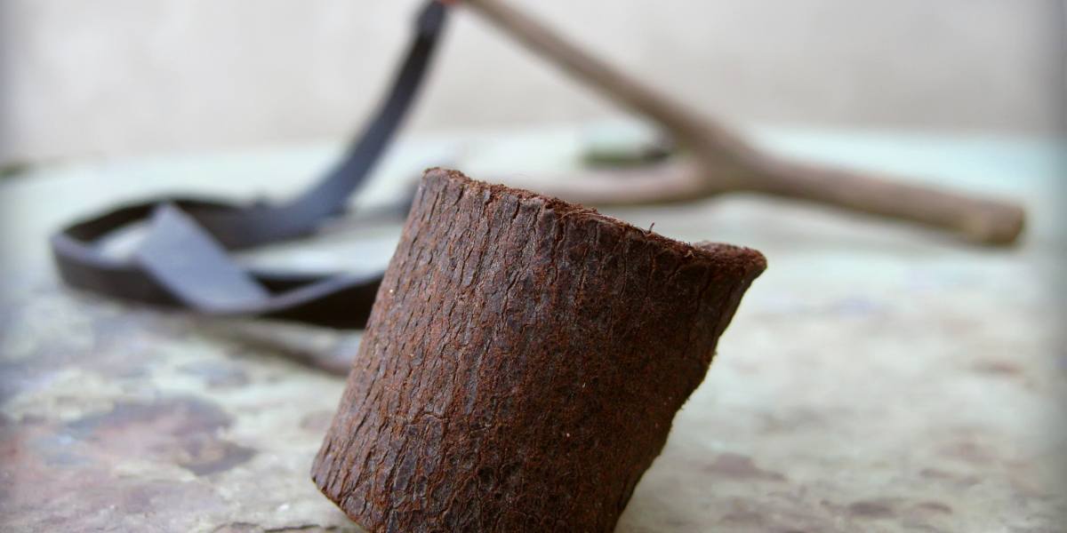 Erros Comuns ao Usar um Estilingue para Pesca e Como Evitá-los 2 Erros Comuns ao Usar um Estilingue para Pesca e Como Evitá-los